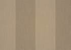 sahara sahara
