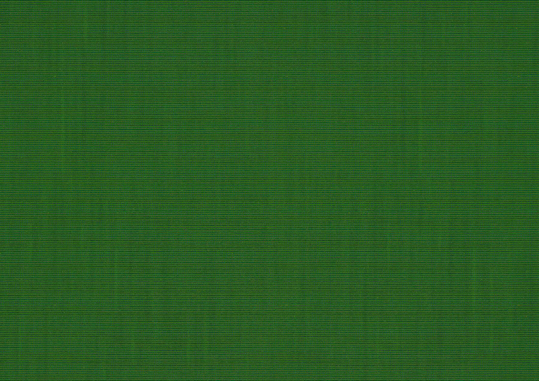 fern