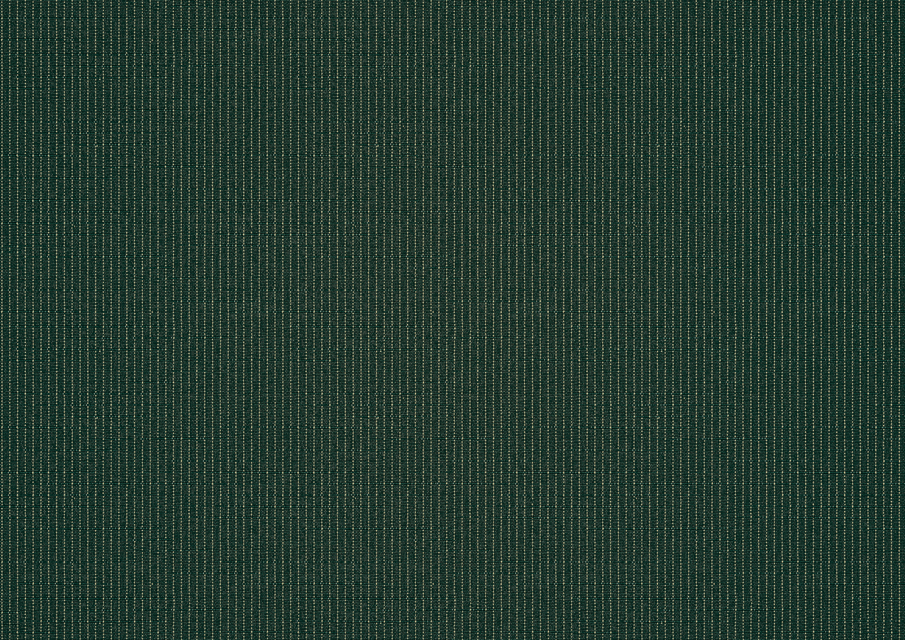 spruce