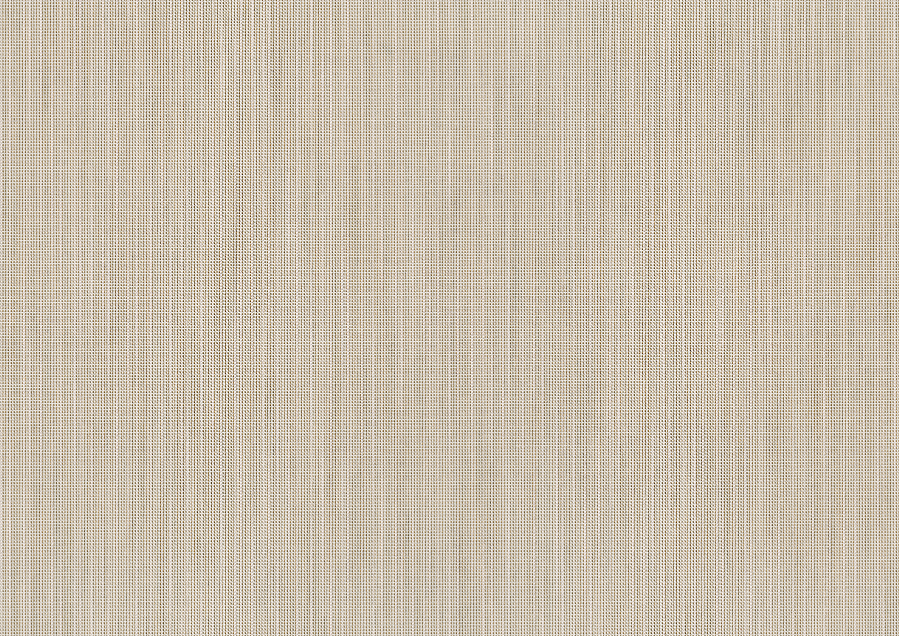 birch