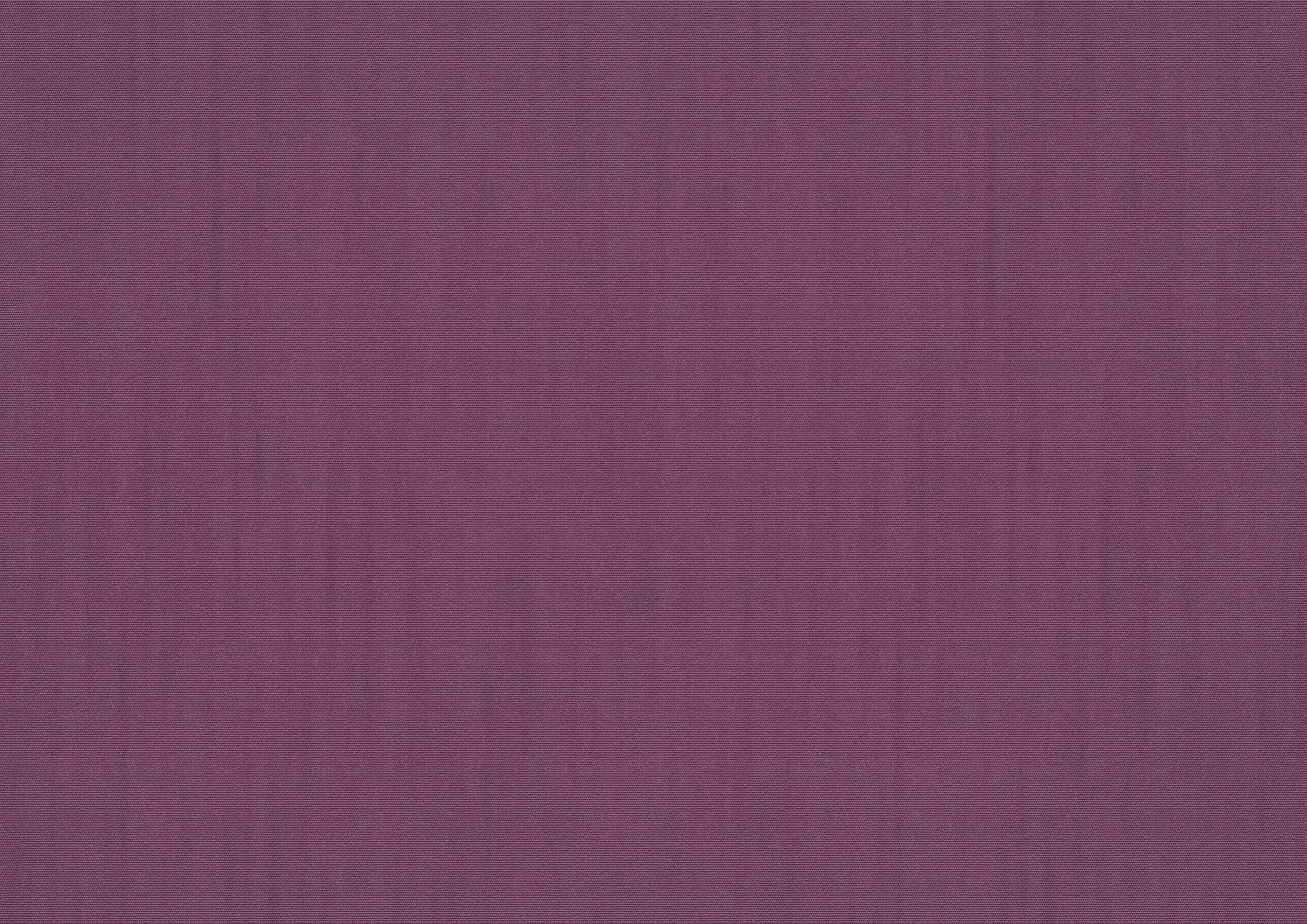 lilac lilac
