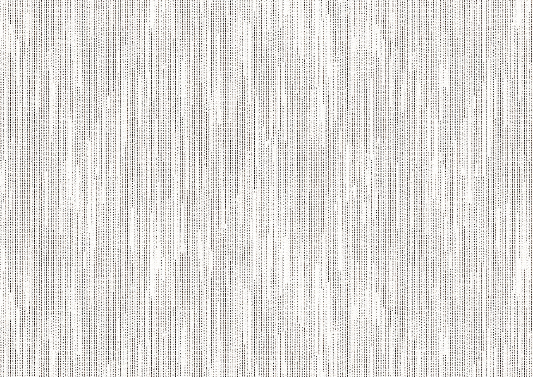 silverbirch silverbirch