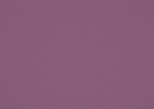 lilac lilac