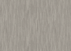 poplar poplar