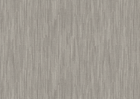 poplar
