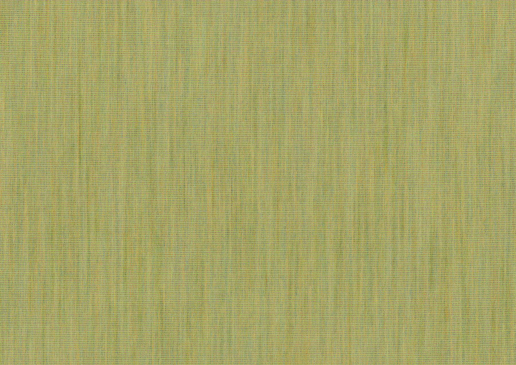 beachgrass