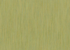 beachgrass beachgrass