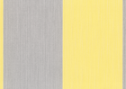 buttercream/silver buttercream/silver