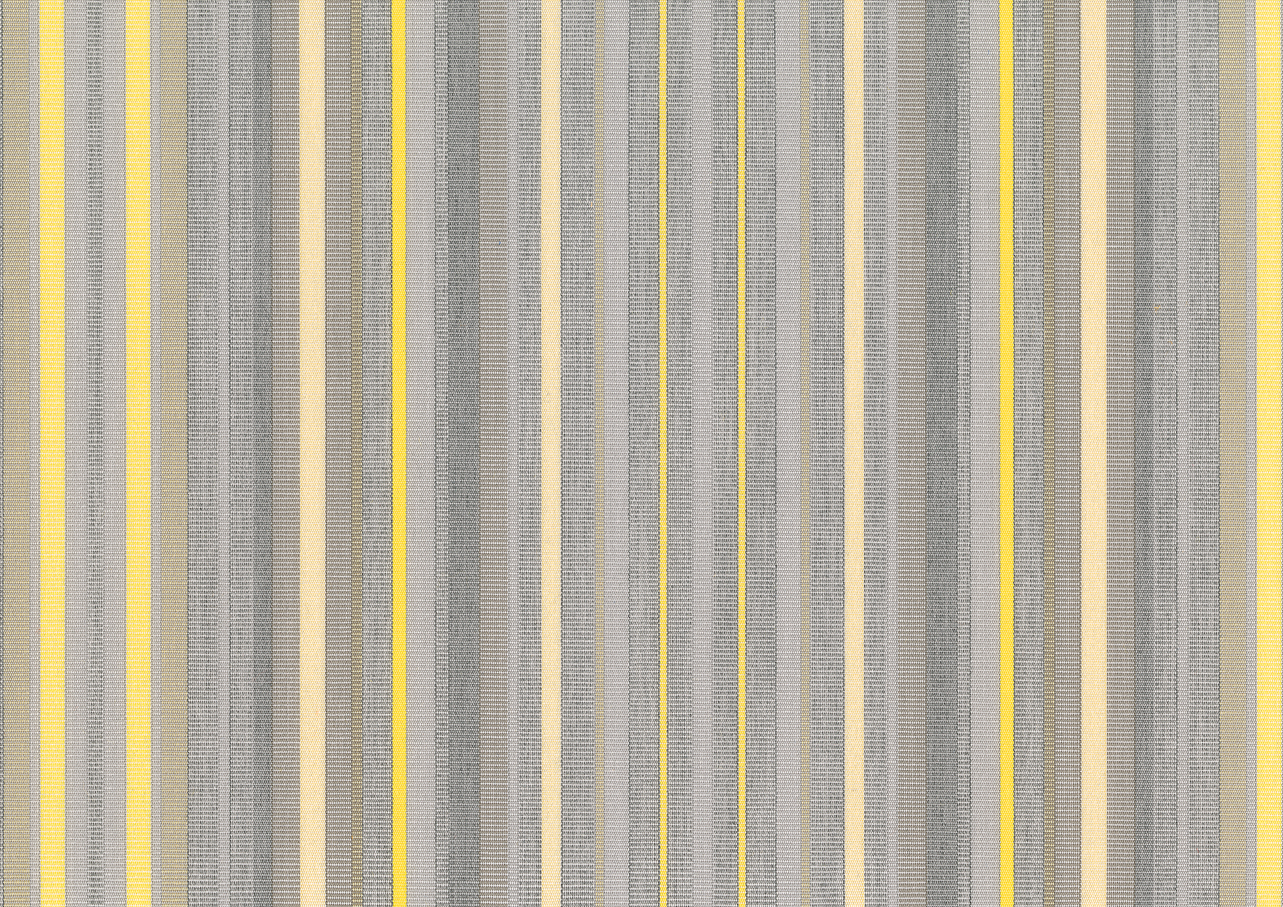silver/lemon silver/lemon