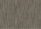 poplar poplar