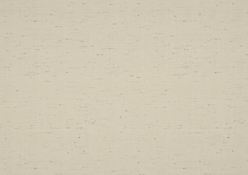Markisentuch: speckled beige (Dessin-Nr.: A | 4-658), Kollektion: evermore, Ansicht: Durchlicht